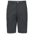 Picture of Dickies® LR42 Men's Premium 11 Industrial Cargo Short