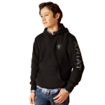 Picture of Ariat 10046473 ARIAT LOGO HOOD