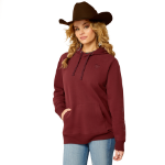 Picture of Ariat 10052683 ARIAT LOGO 2.0 HOOD