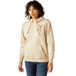 Picture of Ariat 10062310 Stitch Hoodie