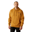 Picture of Ariat 10062495 Ariat Southwest Simple Buckle Hoodie