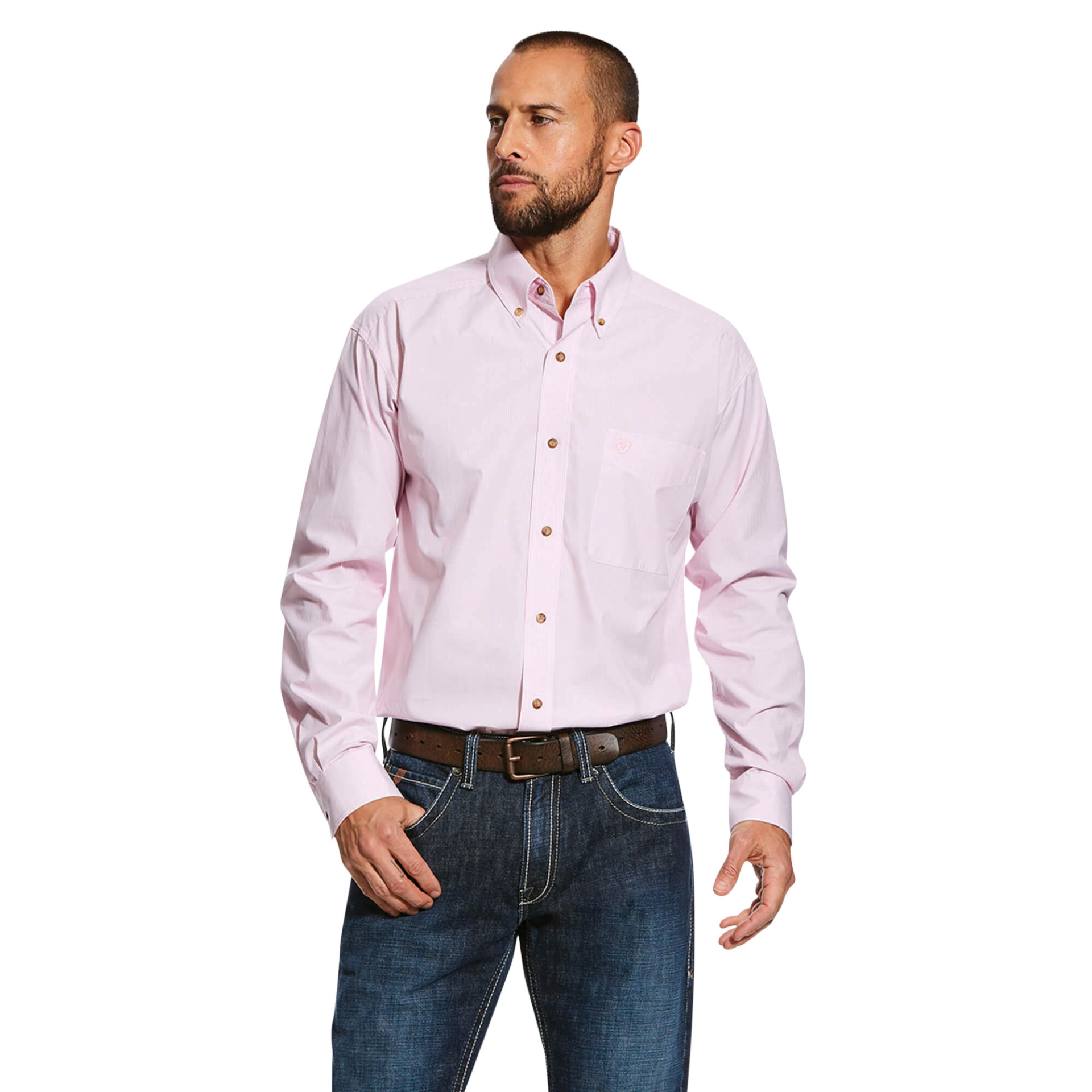 Picture of Ariat 10023596 DAYNE MINI STRIPE SHIRT