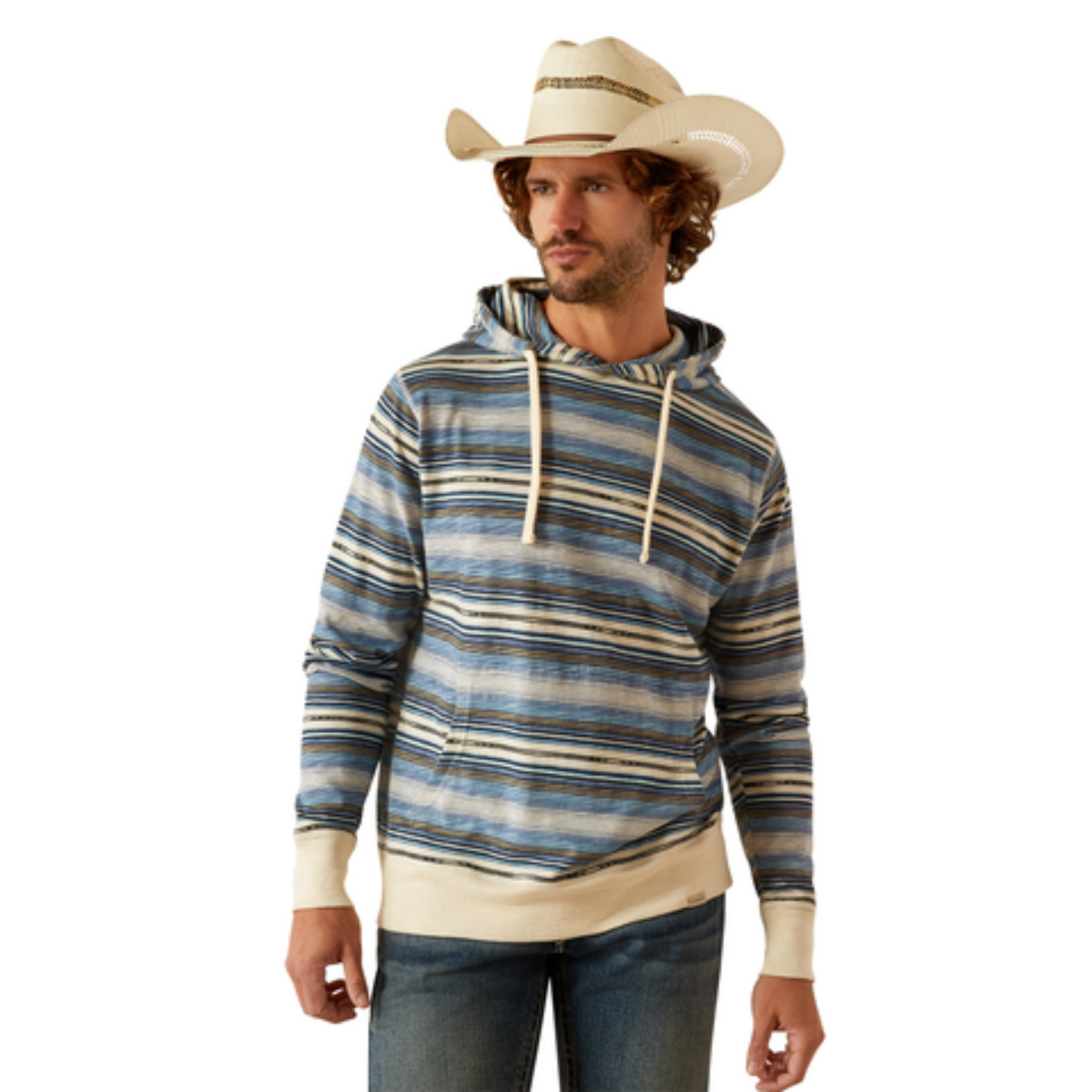 Picture of Ariat 10050534 LW Retro Hoodie