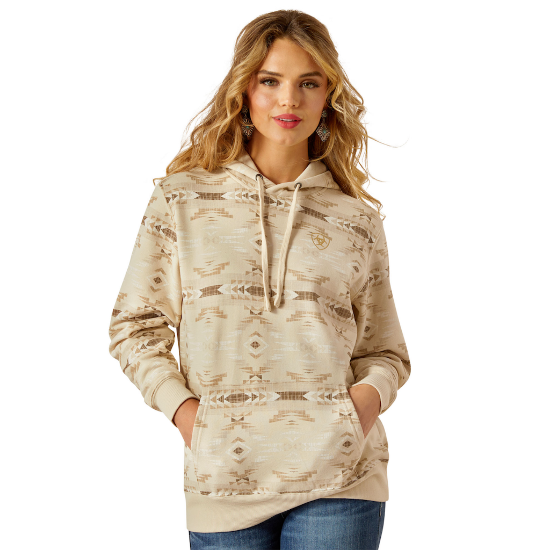 Picture of Ariat 10055021 Ariat Logo 2.0 Hoodie