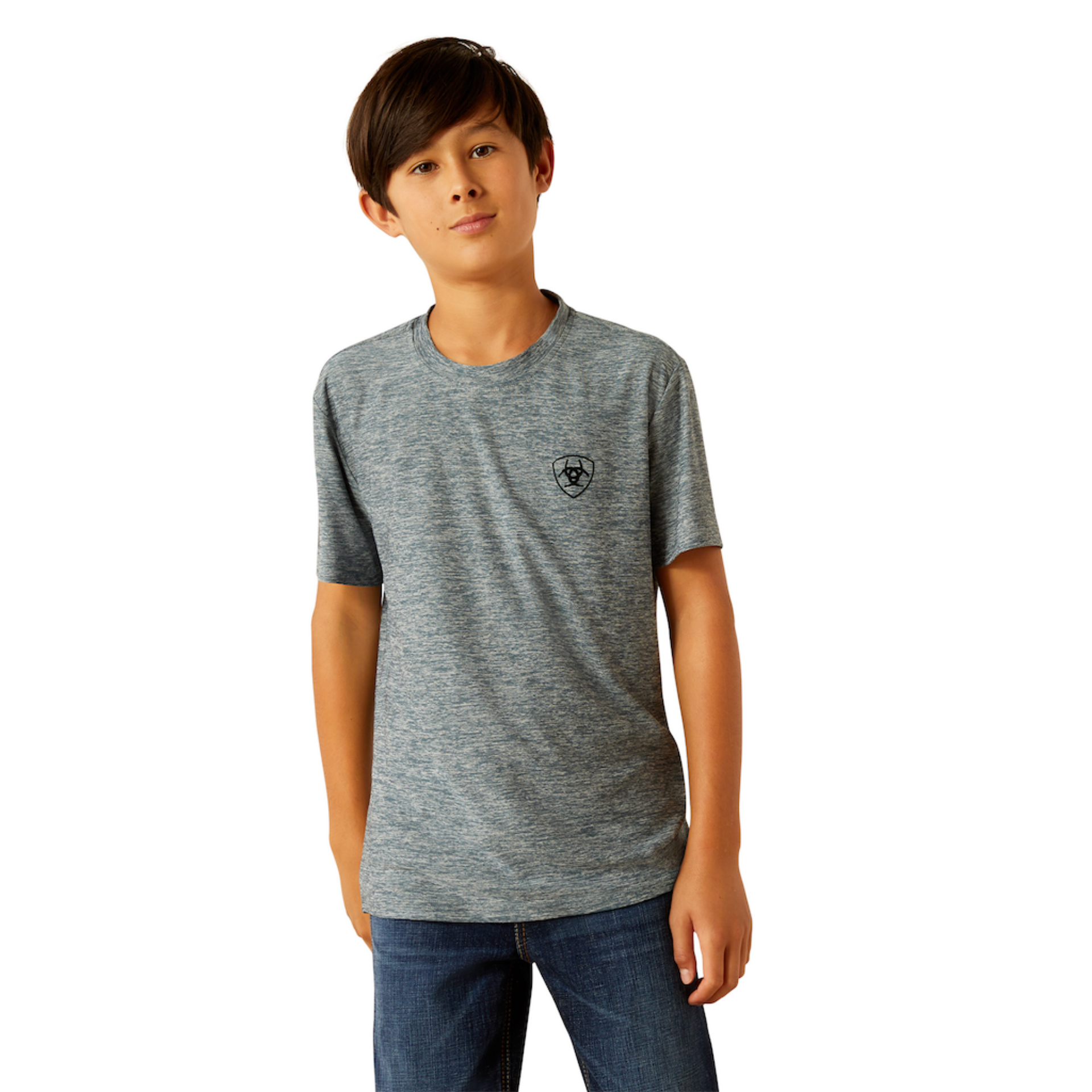 Picture of Ariat 10054752 Vertical Gradient Charger T-Shirt