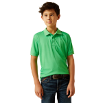 Picture of Ariat 10058806 TEK Polo