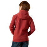 Picture of Ariat 10062462 Ariat Liquid Stamp Flag Hoodie