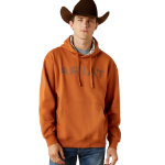 Picture of Ariat 10062493 Ariat Stitch Shield Logo Hoodie