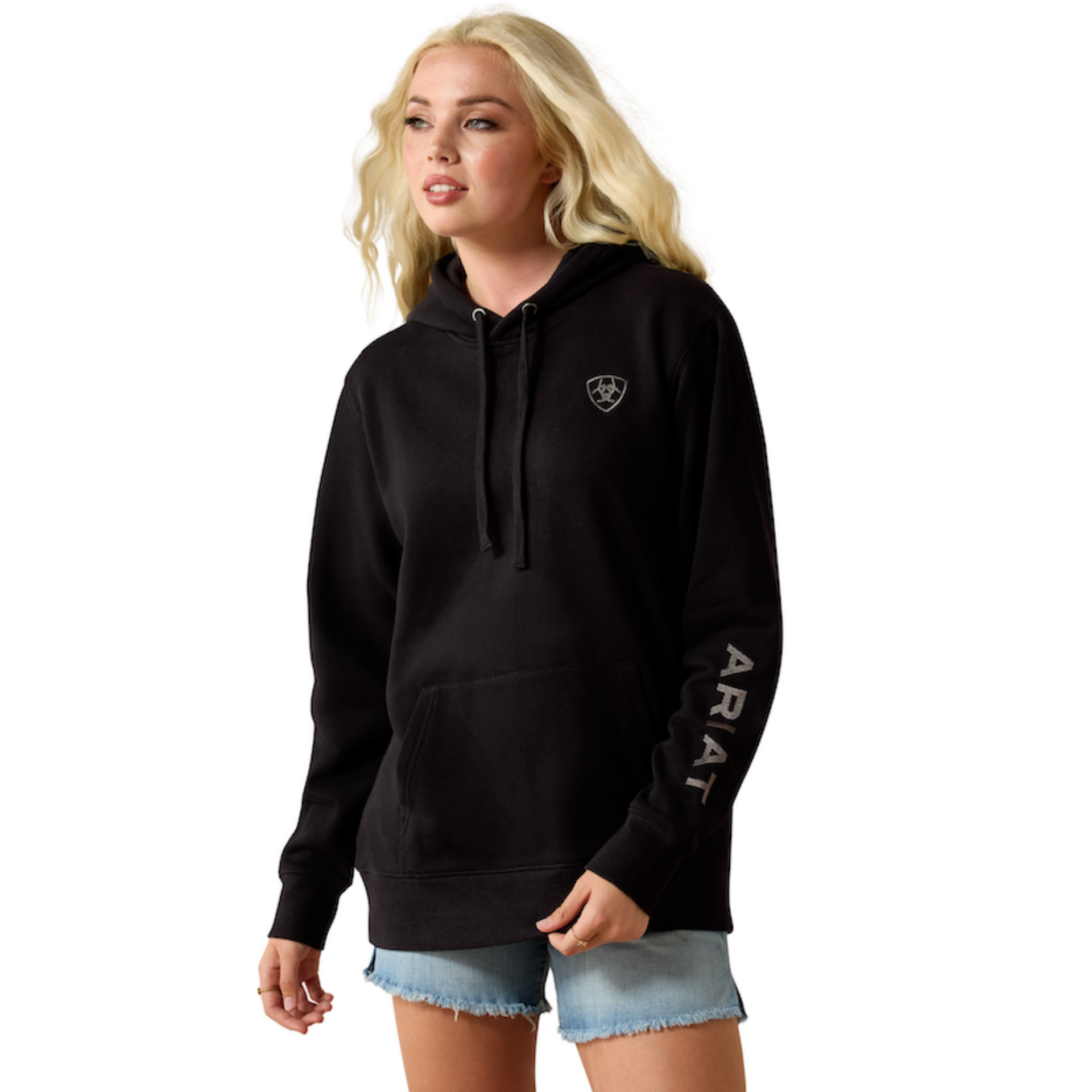 Picture of Ariat 10063145 Ariat Logo 2.0 Hoodie
