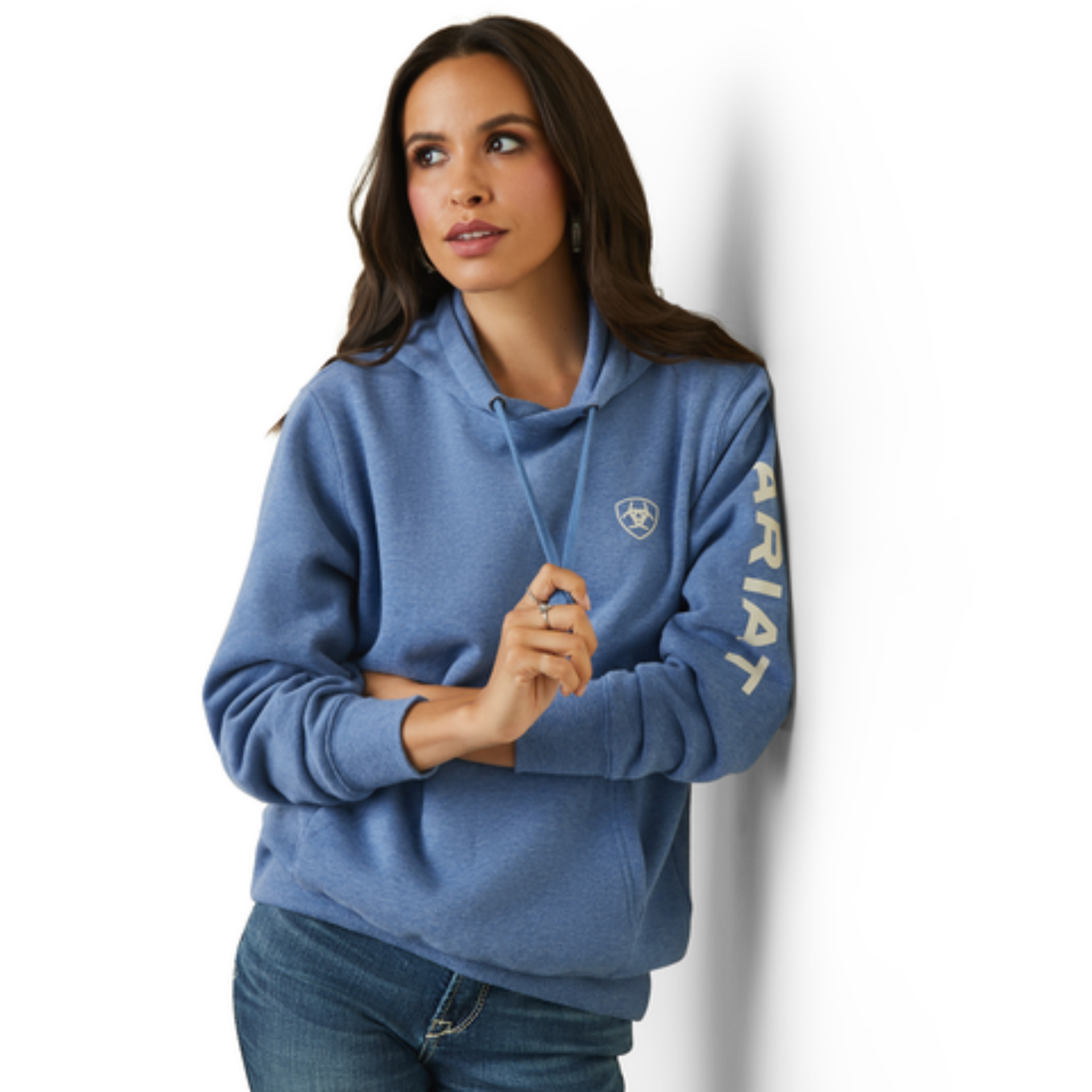 Picture of Ariat 10040814 Ariat Logo Hoodie