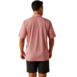 Picture of Ariat 10058782 All Over Print Polo