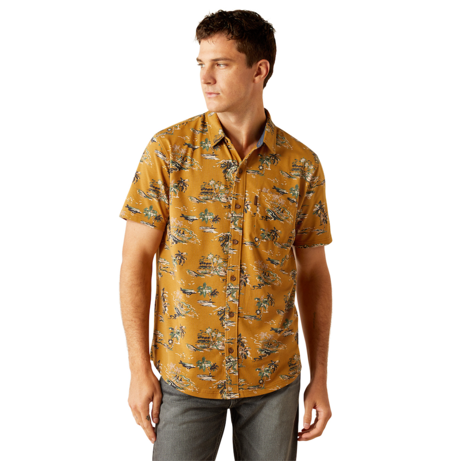Picture of Ariat 10058839 Retro Button Down Shirt
