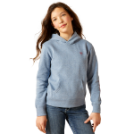 Picture of Ariat 10065824 Ariat 2.0 Hoodie