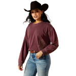 Picture of Ariat 10065945 Valley Sweatshirt