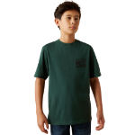 Picture of Ariat 10060398 Ariat Rustic Wood Flag T-Shirt
