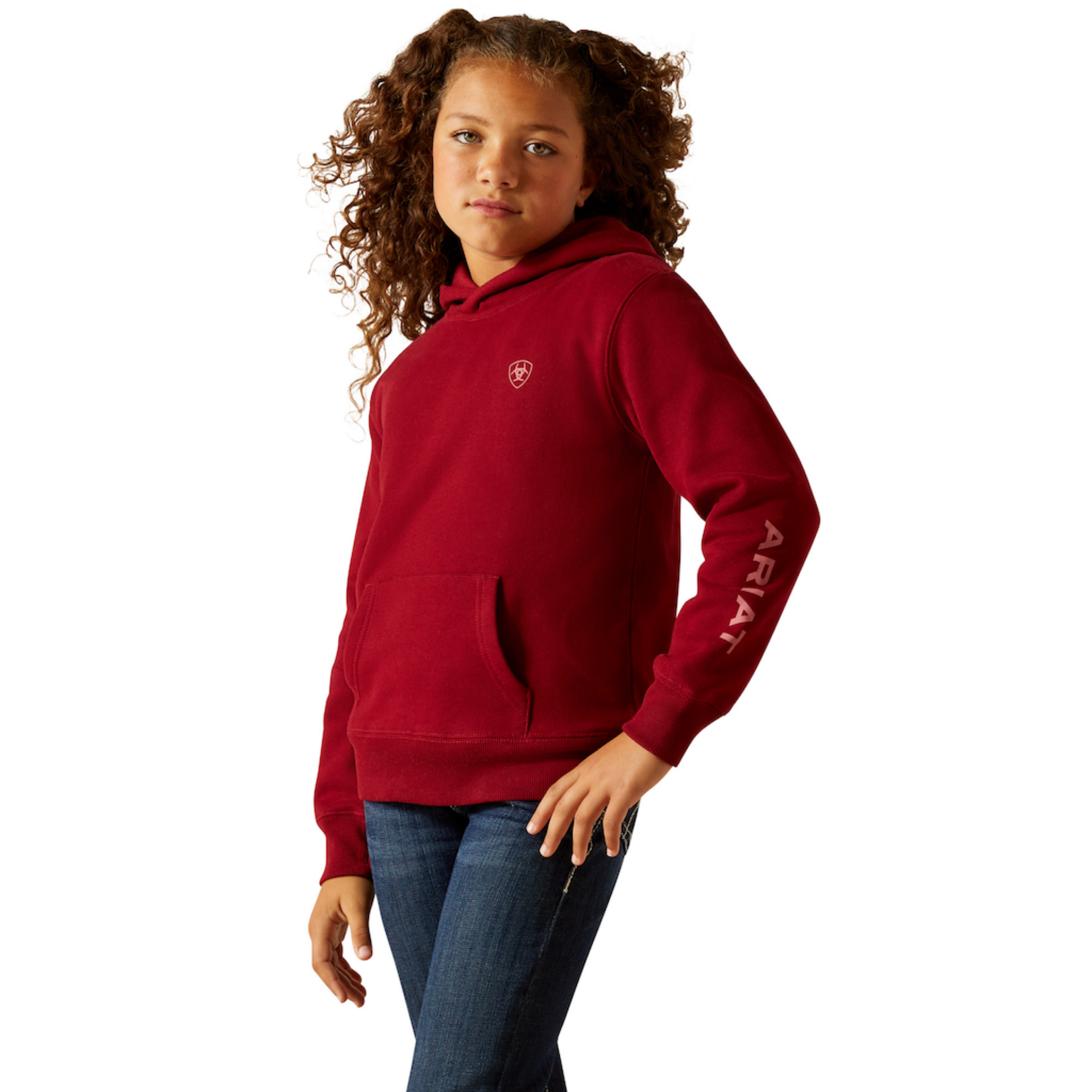 Picture of Ariat 10062287 Ariat 2.0 Hoodie
