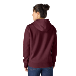 Picture of Carhartt 102791 Womens Iconic Clarksburg Logo Sweatshirt