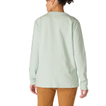 Picture of Carhartt 103401 Womens Dearborn Loose LS Logo T-Shirt