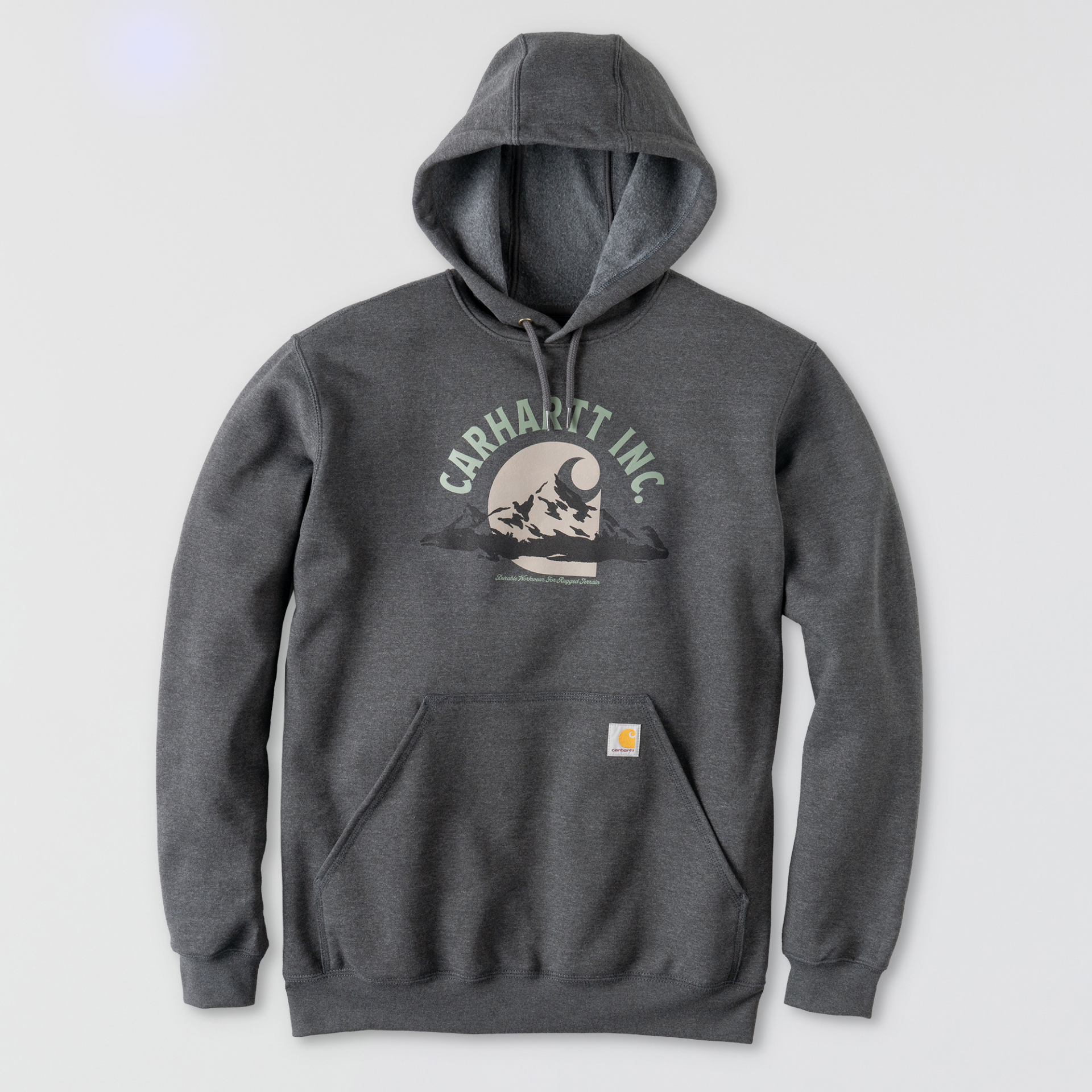 Picture of Carhartt 107691 Mens Loose Fit Midweight Script Graphic Sweatshirt