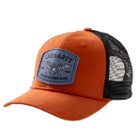 Picture of Carhartt 107715 Mens Oakland Eagle Cap