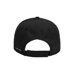 Picture of DRI Duck 3273 Legend Cap