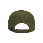 Picture of DRI Duck 3273 Legend Cap