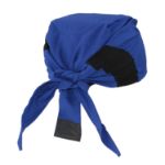 Picture of Radians RCS-SHADE Radians Arctic Radwear® Head Shade