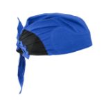 Picture of Radians RCS-SHADE Radians Arctic Radwear® Head Shade